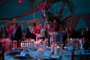 hamza-nouasria-OWEPHt9a-90-unsplash (1)